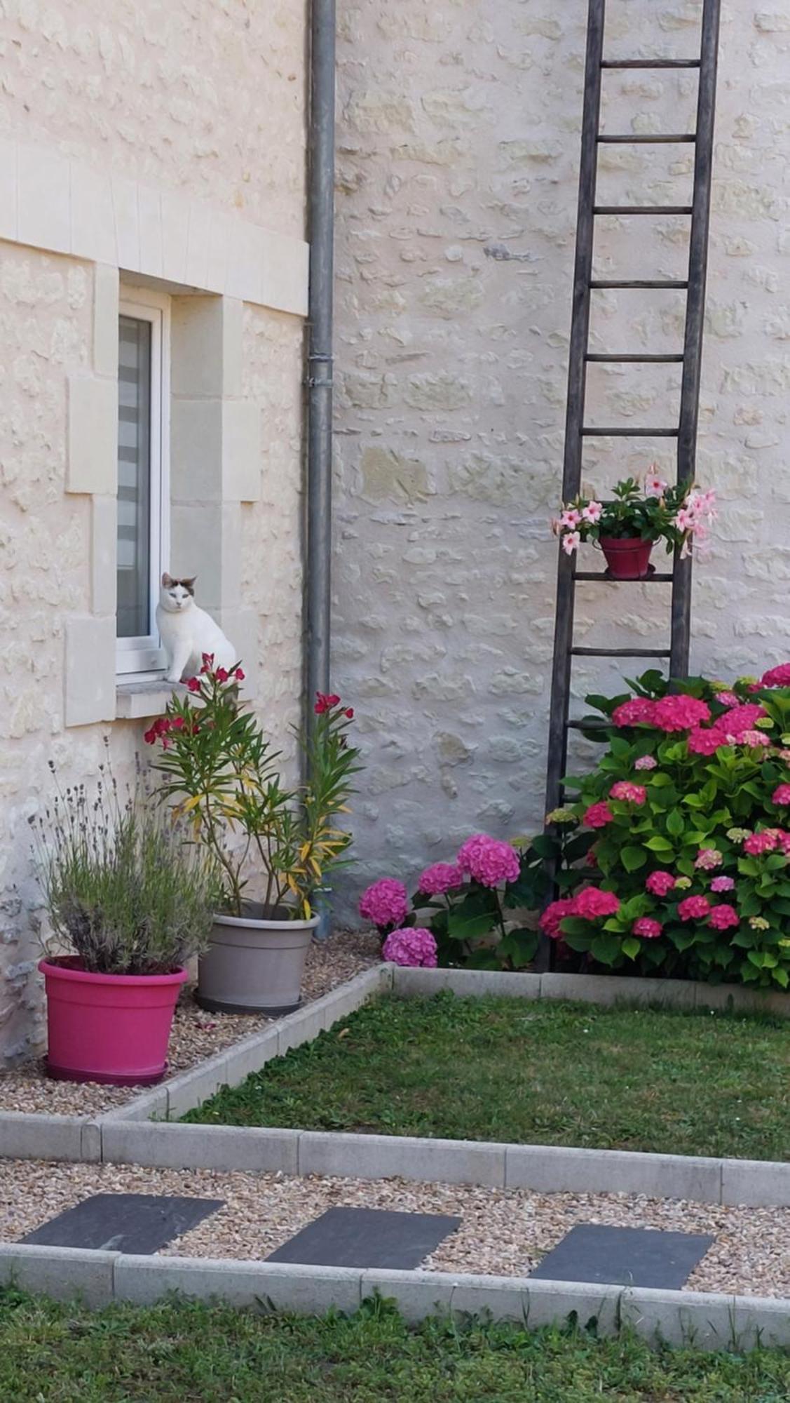 Gite Amanala Poitou Saint-Genest-d'Ambiere Εξωτερικό φωτογραφία